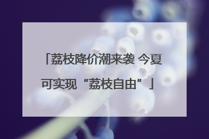 荔枝降价潮来袭 今夏可实现“荔枝自由”