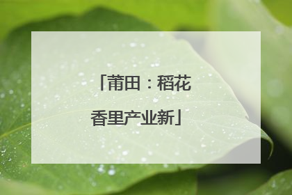 莆田：稻花香里产业新