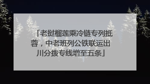 老挝榴莲乘冷链专列抵蓉，中老班列公铁联运出川分拨专线增至五条