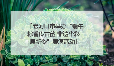 老河口市举办“端午粽香传古韵 非遗华彩展新姿”展演活动