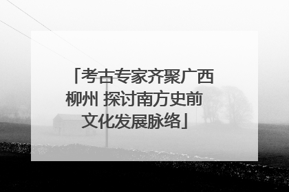 考古专家齐聚广西柳州 探讨南方史前文化发展脉络