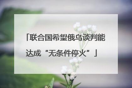 联合国希望俄乌谈判能达成“无条件停火”