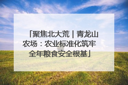 聚焦北大荒｜青龙山农场：农业标准化筑牢全年粮食安全根基
