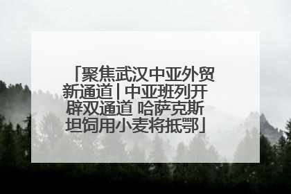 聚焦武汉中亚外贸新通道│中亚班列开辟双通道 哈萨克斯坦饲用小麦将抵鄂