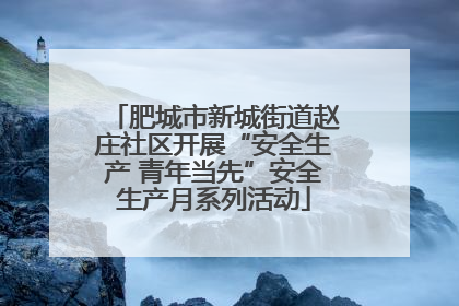 肥城市新城街道赵庄社区开展“安全生产 青年当先”安全生产月系列活动