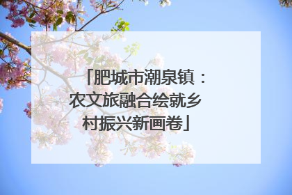 肥城市潮泉镇：农文旅融合绘就乡村振兴新画卷
