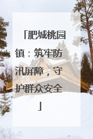 肥城桃园镇：筑牢防汛屏障，守护群众安全