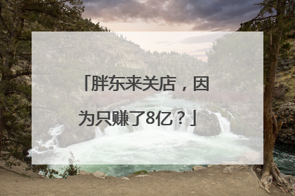 胖东来关店，因为只赚了8亿？