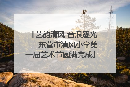 艺韵清风 音浪逐光——东营市清风小学第一届艺术节圆满完成