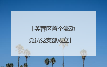 芙蓉区首个流动党员党支部成立