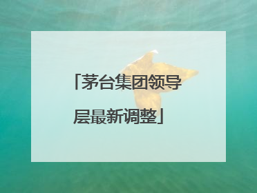 茅台集团领导层最新调整