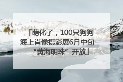 萌化了，100只狗狗海上肖像摄影展6月中旬“黄海明珠”开放