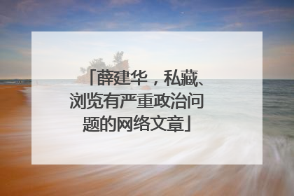 薛建华，私藏、浏览有严重政治问题的网络文章