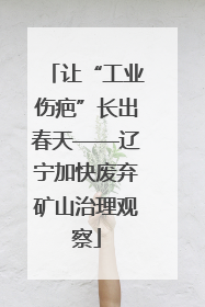 让“工业伤疤”长出春天——辽宁加快废弃矿山治理观察
