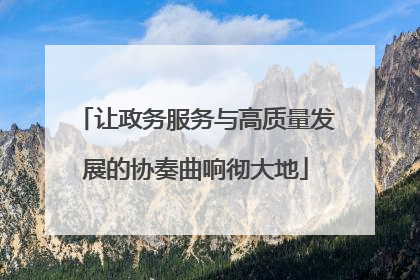 让政务服务与高质量发展的协奏曲响彻大地