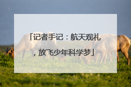 记者手记：航天观礼，放飞少年科学梦
