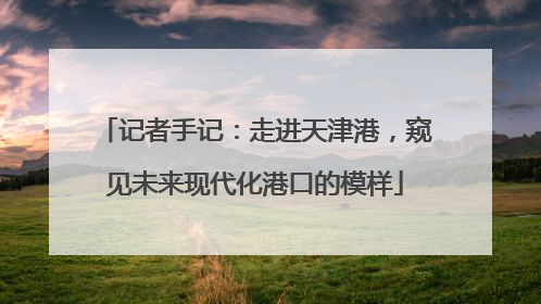 记者手记：走进天津港，窥见未来现代化港口的模样