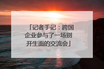 记者手记：跨国企业参与了一场别开生面的交流会