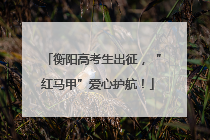 衡阳高考生出征，“红马甲”爱心护航！