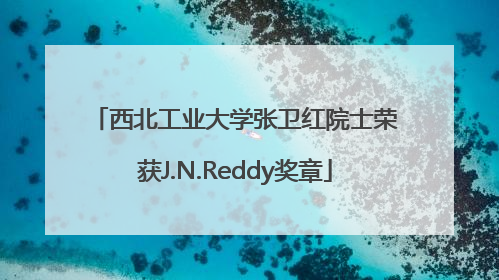 西北工业大学张卫红院士荣获J.N.Reddy奖章
