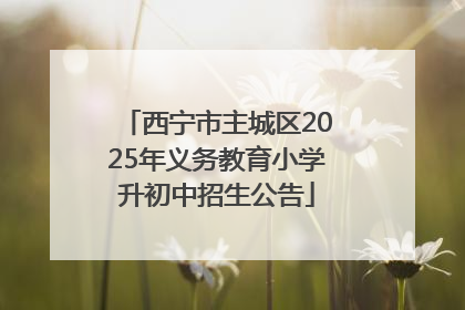 西宁市主城区2025年义务教育小学升初中招生公告
