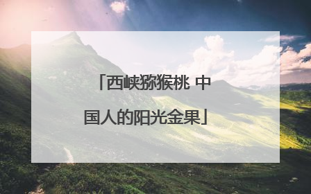 西峡猕猴桃 中国人的阳光金果
