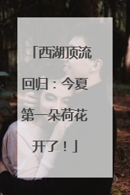 西湖顶流回归：今夏第一朵荷花开了！