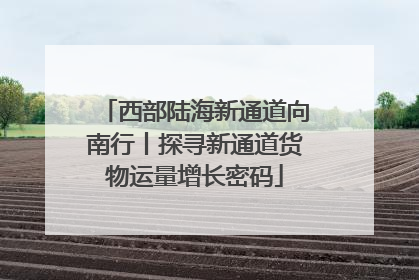 西部陆海新通道向南行丨探寻新通道货物运量增长密码