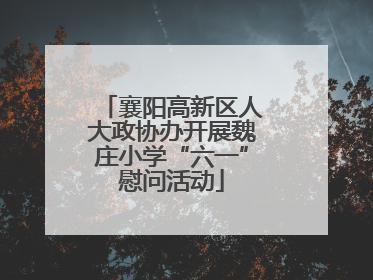 襄阳高新区人大政协办开展魏庄小学“六一”慰问活动