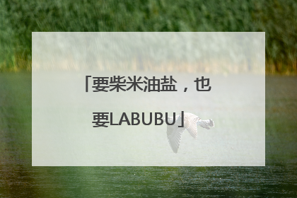 要柴米油盐，也要LABUBU