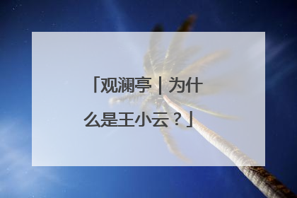 观澜亭｜为什么是王小云？