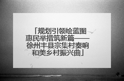 规划引领绘蓝图 惠民举措筑新篇——徐州丰县宗集村奏响和美乡村振兴曲