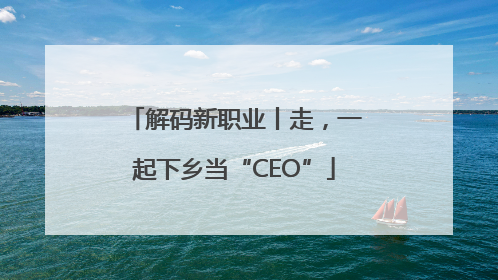 解码新职业丨走，一起下乡当“CEO”