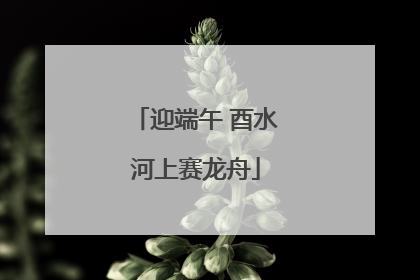 迎端午 酉水河上赛龙舟