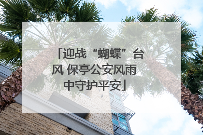 迎战“蝴蝶”台风 保亭公安风雨中守护平安