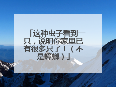 这种虫子看到一只，说明你家里已有很多只了！（不是蟑螂）