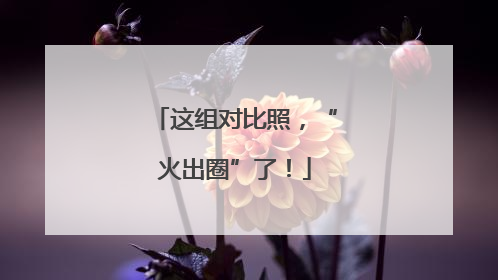 这组对比照，“火出圈”了！