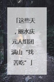 这些天，丽水庆元人组团满山“找苦吃”