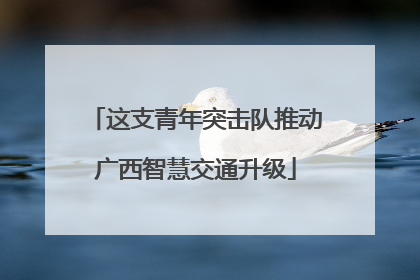这支青年突击队推动广西智慧交通升级