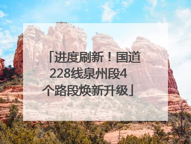 进度刷新！国道228线泉州段4个路段焕新升级