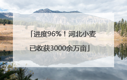 进度96%！河北小麦已收获3000余万亩