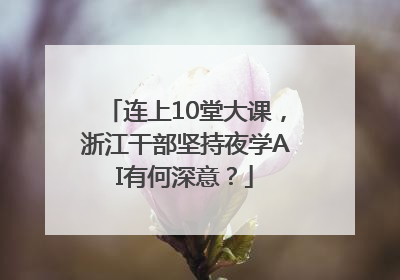 连上10堂大课，浙江干部坚持夜学AI有何深意？