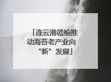 连云港赣榆推动海苔老产业向“新”发展