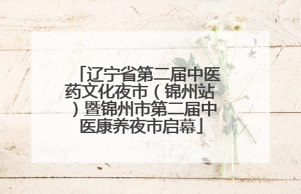 辽宁省第二届中医药文化夜市（锦州站）暨锦州市第二届中医康养夜市启幕
