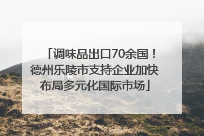 调味品出口70余国！德州乐陵市支持企业加快布局多元化国际市场
