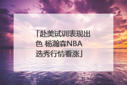 赴美试训表现出色 杨瀚森NBA选秀行情看涨