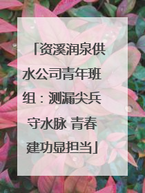资溪润泉供水公司青年班组：测漏尖兵守水脉 青春建功显担当