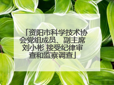 资阳市科学技术协会党组成员、副主席刘小彬 接受纪律审查和监察调查