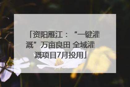 资阳雁江：“一键灌溉”万亩良田 全域灌溉项目7月投用
