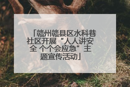 赣州赣县区水科巷社区开展“人人讲安全 个个会应急”主题宣传活动